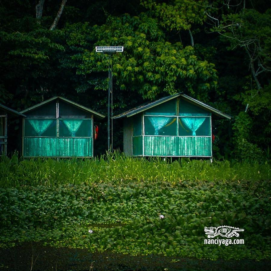 Reserva Ecologica Nanciyaga Catemaco Bagian luar foto