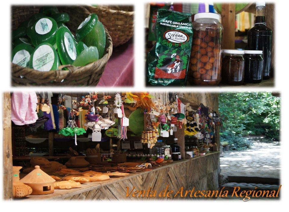 Reserva Ecologica Nanciyaga Catemaco Bagian luar foto