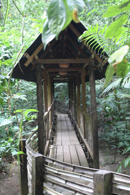 Reserva Ecologica Nanciyaga Catemaco Bagian luar foto