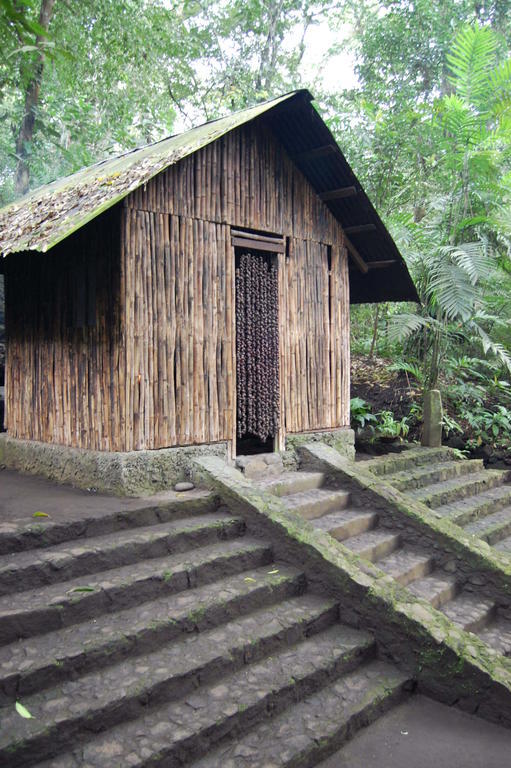 Reserva Ecologica Nanciyaga Catemaco Bagian luar foto