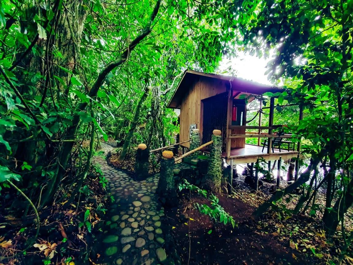 Reserva Ecologica Nanciyaga Catemaco Bagian luar foto